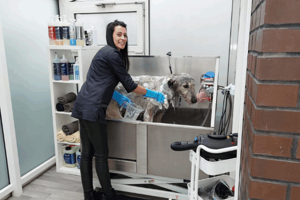 Bild 2 von FellLiebe - Melli´s Hundesalon