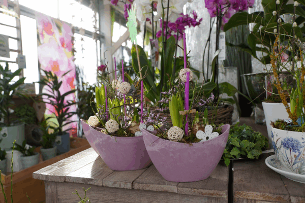 Bild 3 von Sandras Blumenwelt Inh. Sandra Dörre