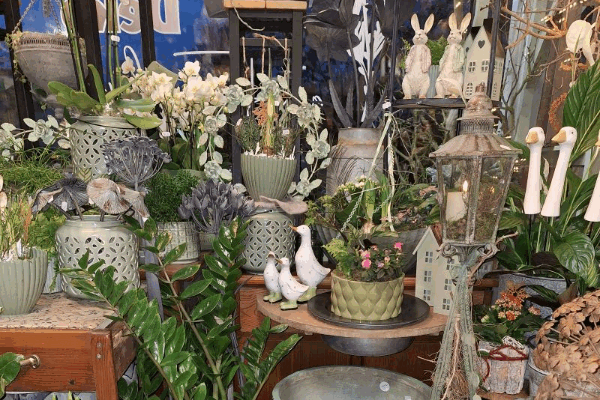 Bild 4 von Blumen und Deko am Franzberg