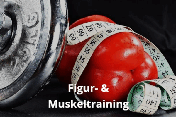 Bild 3 von La Vita Fitness